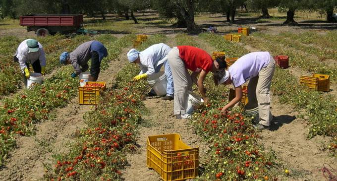 Imprenditore Terracina arrestato sparava verso braccianti per farli lavorare di più - Leggilo