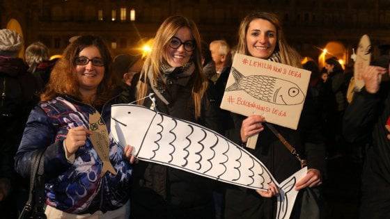 bologna sardine insulti assessora