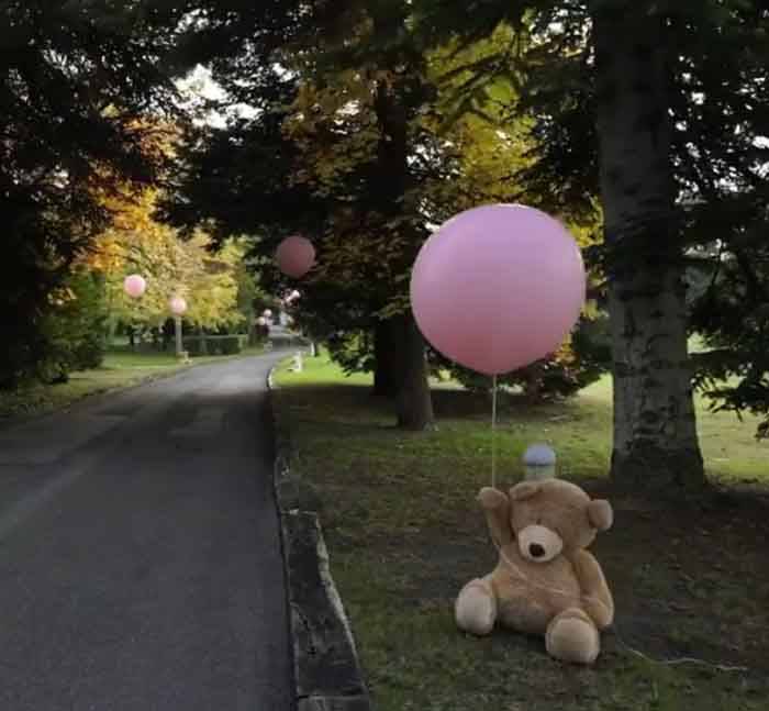 Gianluca Vacchi e la sorpresa per la figlia: palloncini e peluches
