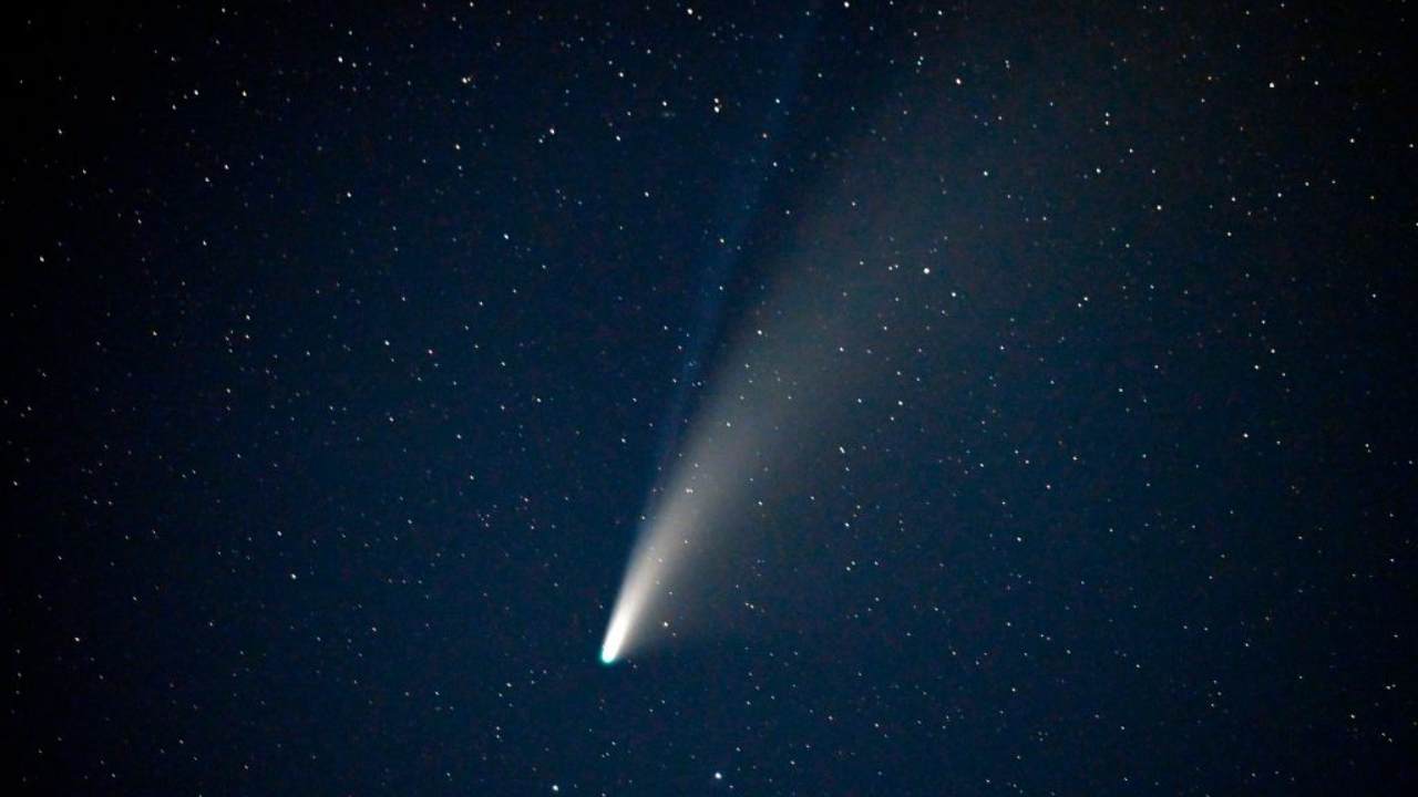 A fine 2020 torna a splendere la Stella di Natale