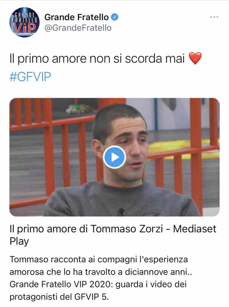 GF Vip frase cancellata