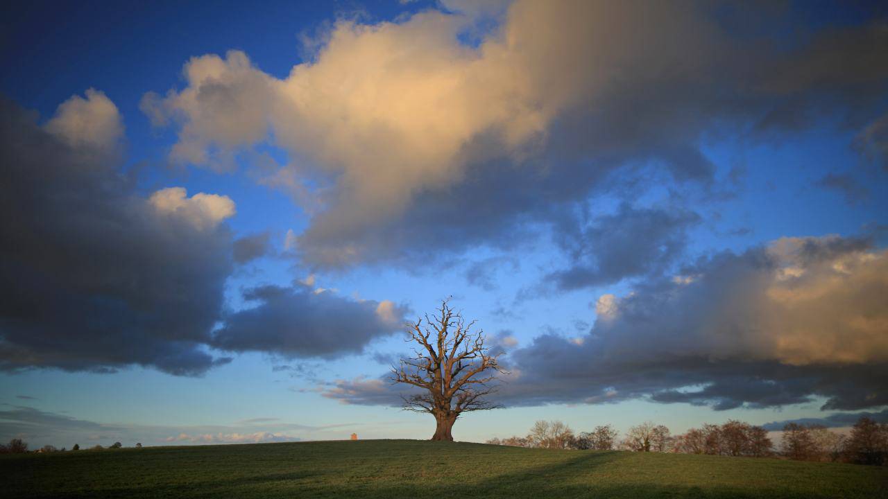 Meteo domani martedì 2 marzo: clima primaverile, ma da venerdì cambia tutto – I dettagli Meteo domani martedì 2 marzo: clima primaverile, ma da venerdì cambia tutto – I dettagli