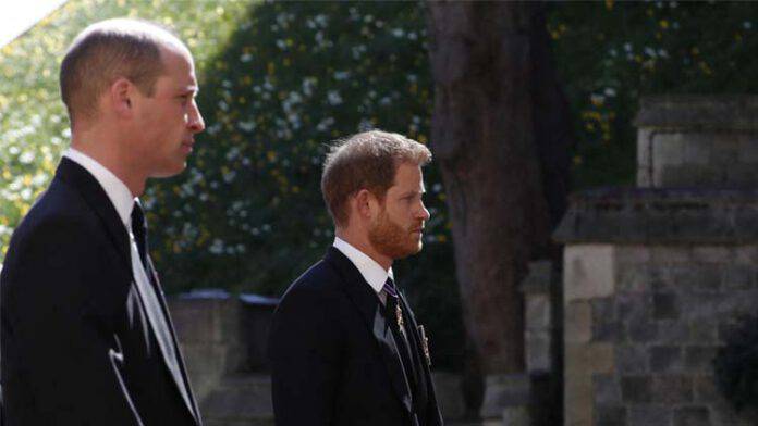 Champagne Per Due Dopo Il Funerale Streaming