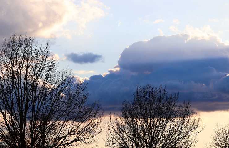 meteo