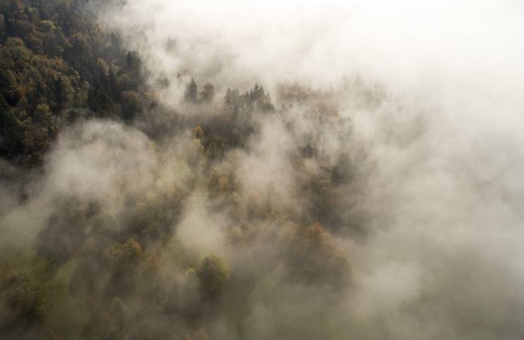 meteo