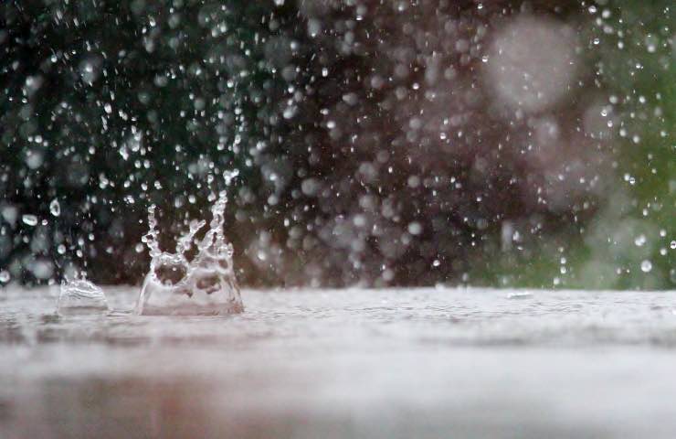 meteo