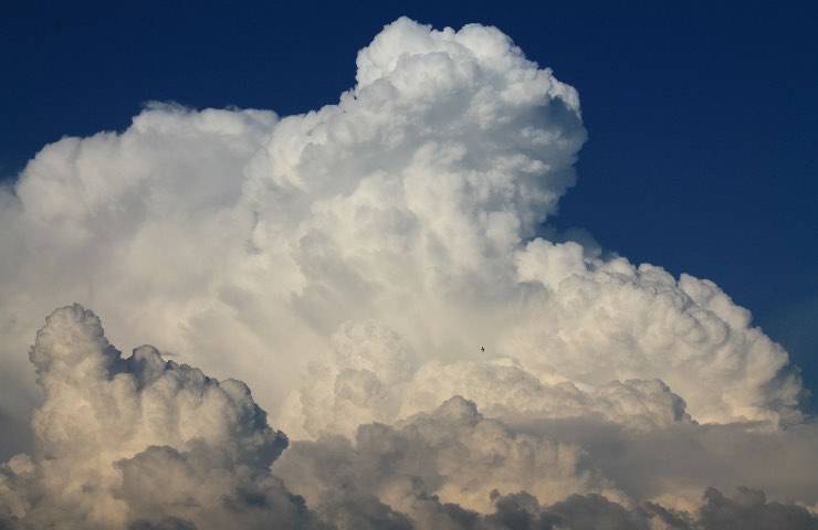 meteo
