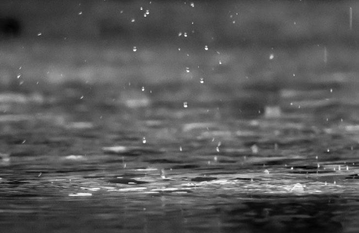 meteo