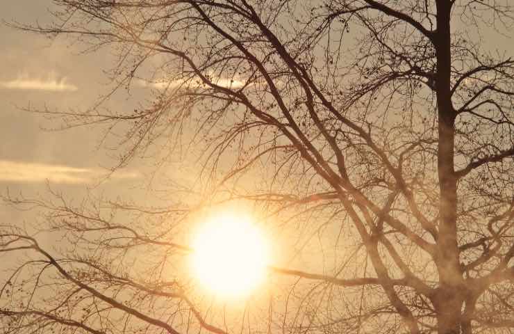 meteo