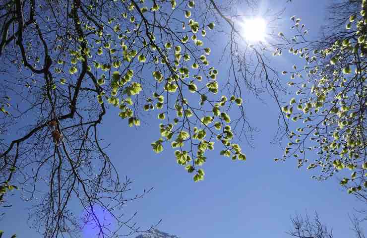 METEO MILANO, ultima parte di giugno tra CALDO AFOSO e improvvisi TEMPORALI METEO MILANO, ultima parte di giugno tra CALDO AFOSO e improvvisi TEMPORALI
