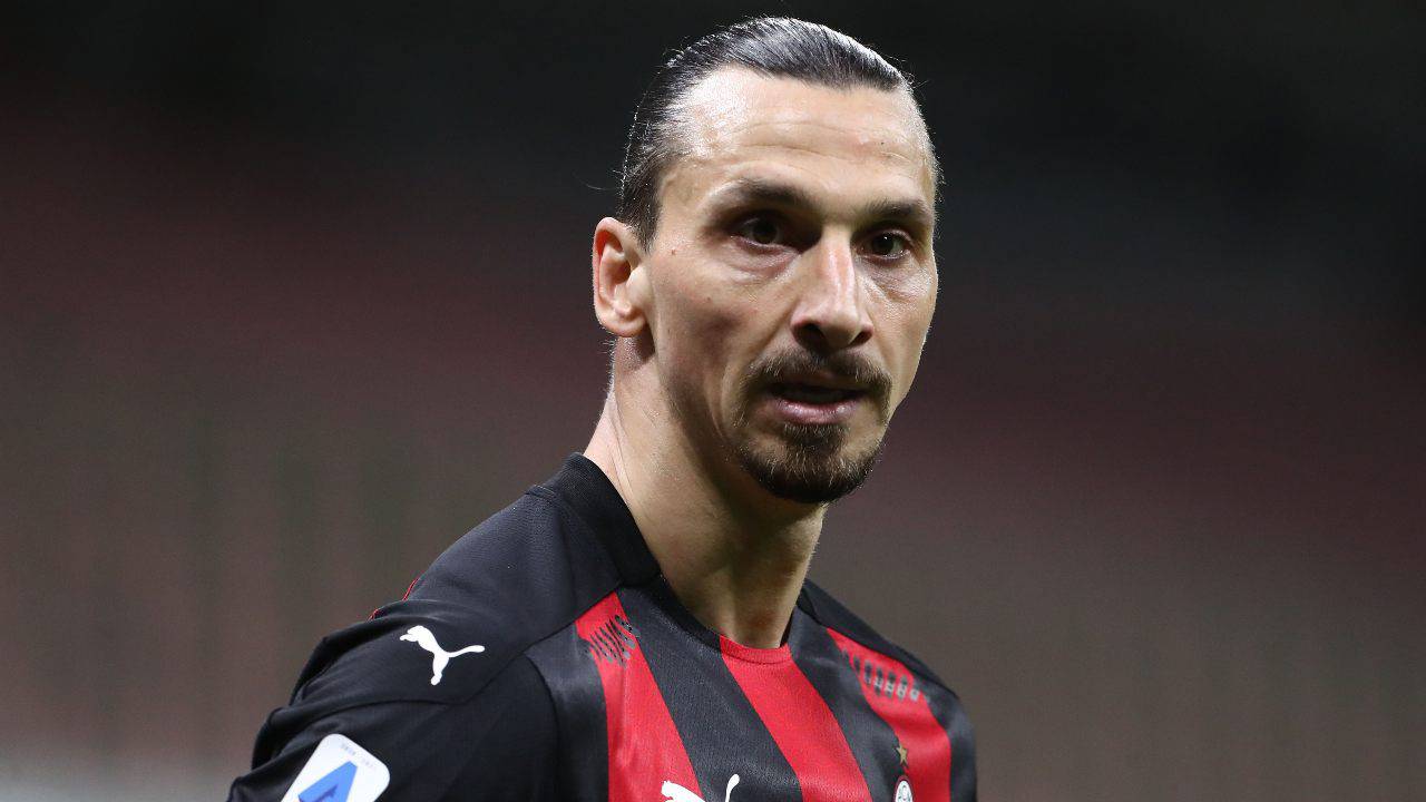 ibrahimovic moglie