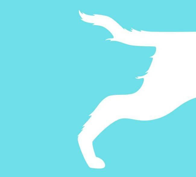 Test psicologico: cosa vedi per primo? Ecco chi sei realmente