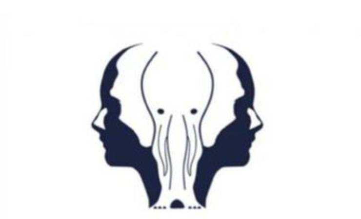 Ecco il test della personalità che svela la tua missione nella vita (amoreaquattrozampe)