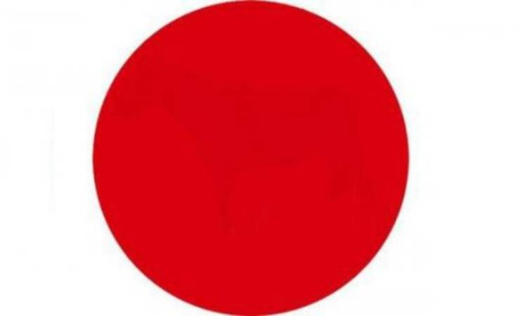 Ecco l'immagine del cerchio rosso (Fidelity House)
