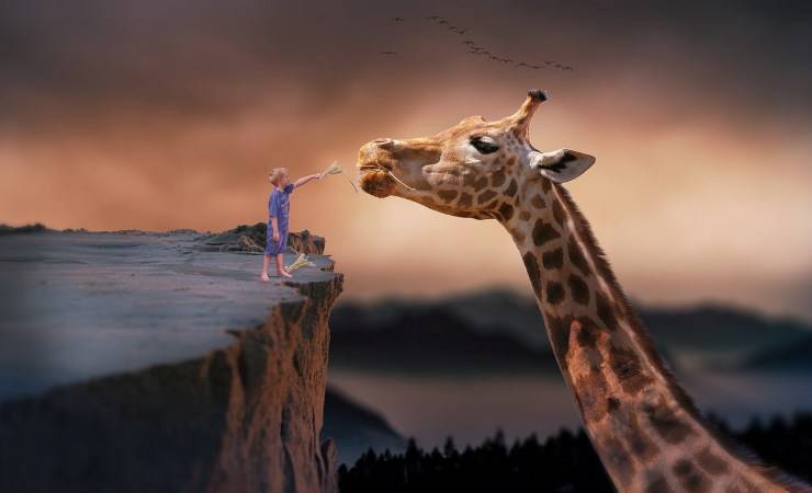 Sogno giraffa (Pixabay)