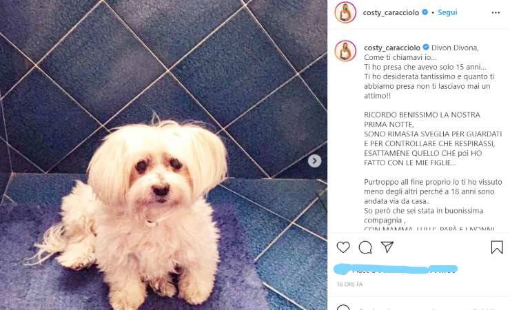 Il commovente addio di Costanza Caracciolo al suo cane Divon (Instagram) 1