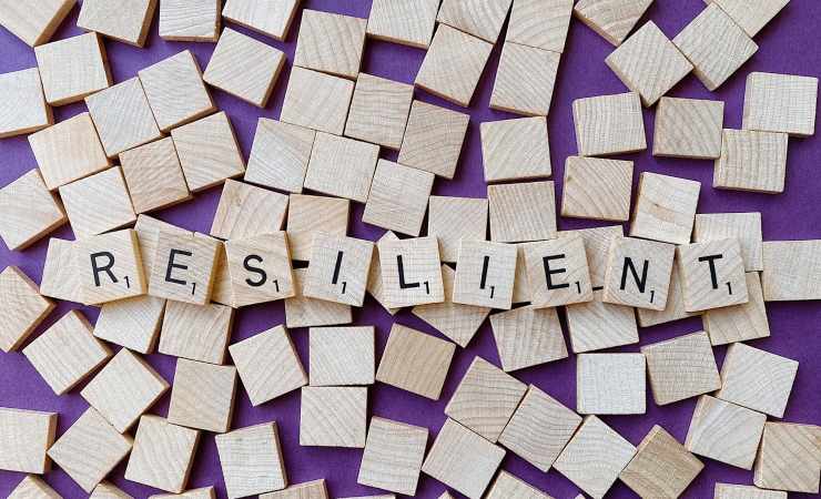 Test: Sei resiliente? Scegli un cactus e lo scoprirai 9 Resilienza (Pixabay)