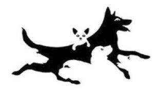 test personalità cani