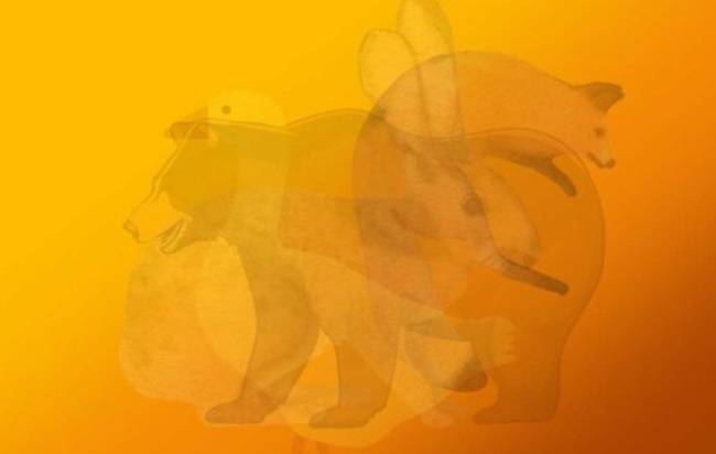 Test: che animale vedi per primo? Ecco cosa rivela