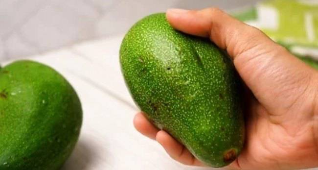 Avocado: come scegliere il migliore e come conservarlo