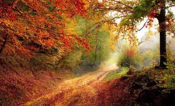 Autunno (Pixabay)