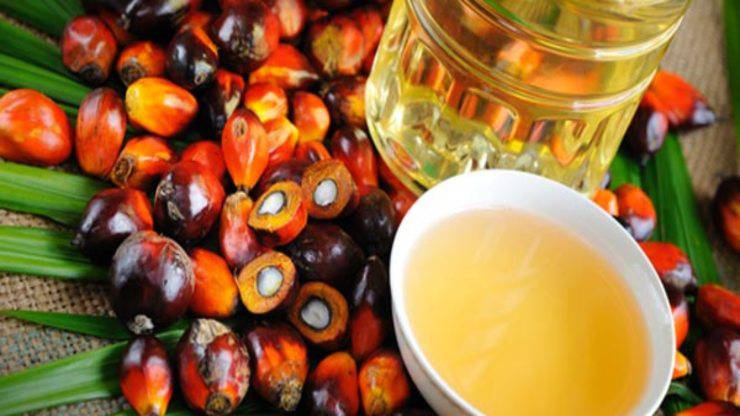 Olio di Palma - A lungo andare diventa cancerogeno