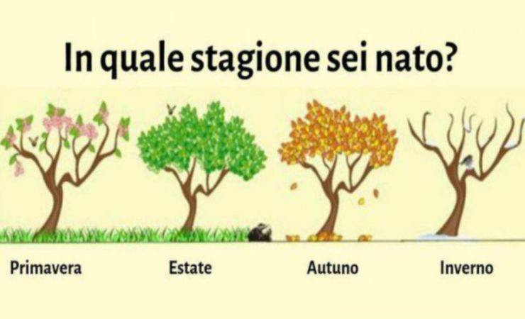 Quattro stagioni (lettoquotidiano)