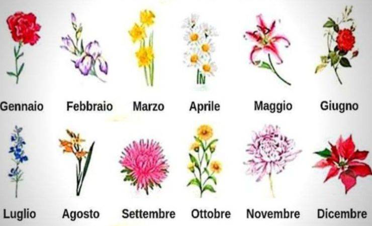 Scegli il fiore del mese della tua nascita e leggi il messaggio che c'è per te (ogmag.net)