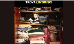 test visivo trova intruso