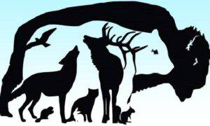 Test visivo animali intelligente