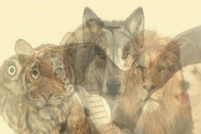 Test: che animale vedi? Ecco un punto nascosto della tua personalità
