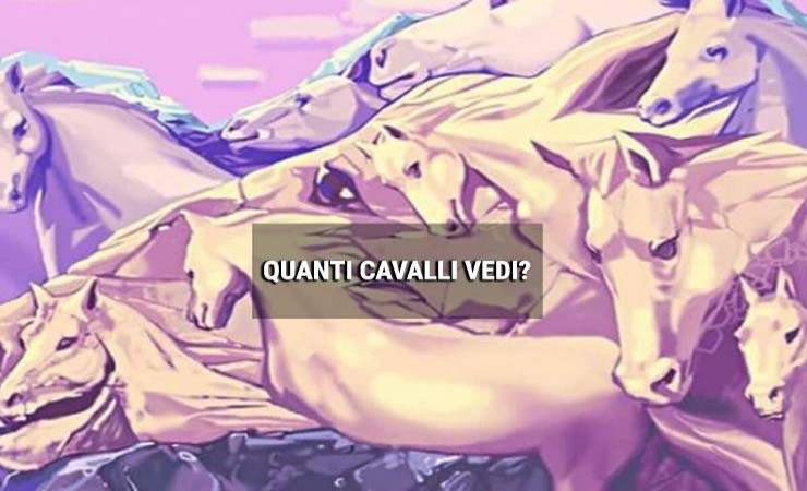test cavalli (foto: lettoquotidiano)