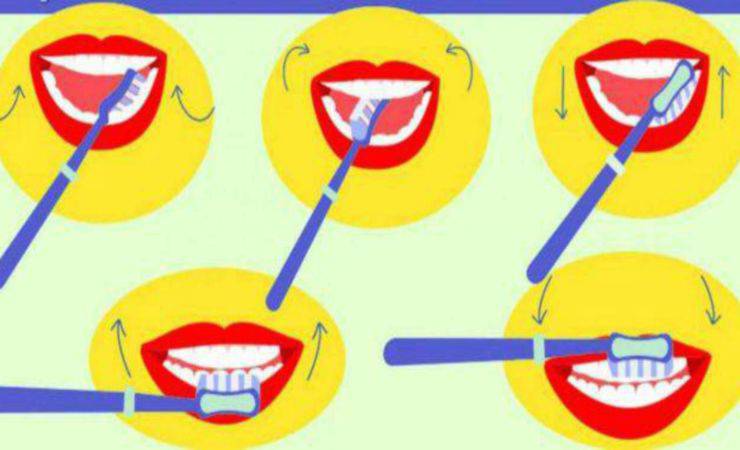 test denti (foto: lettoquotidiano)
