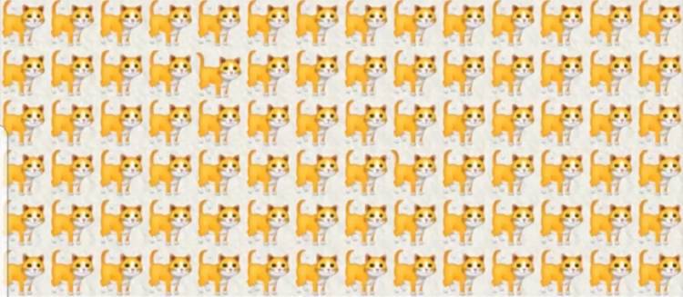 test gatti 2