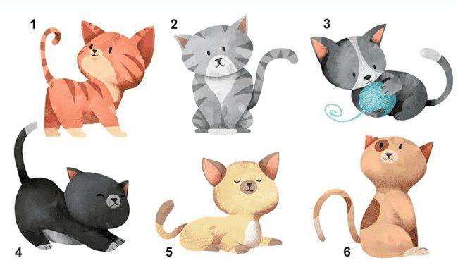 Test: Scegli un gatto tra questi e ti dirò chi sei veramente