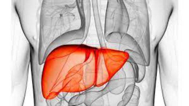 Fegato: i sintomi che indicano un problema e come risolverlo