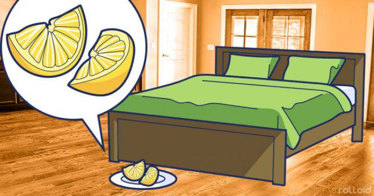 Il limone tagliato e messo in camera da letto può fungere da anti-stress