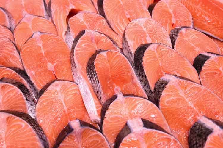 Salmone