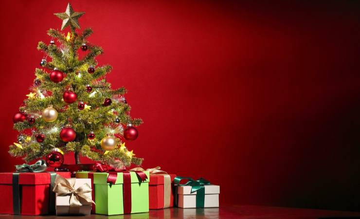 albero 1 (foto: Pixabay)