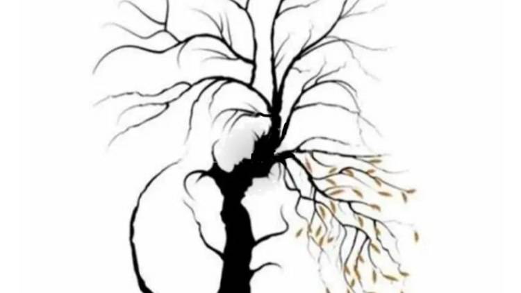 nuovo test immagine
