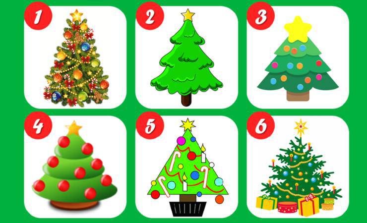 test albero di Natale (foto: Bigodino.it)
