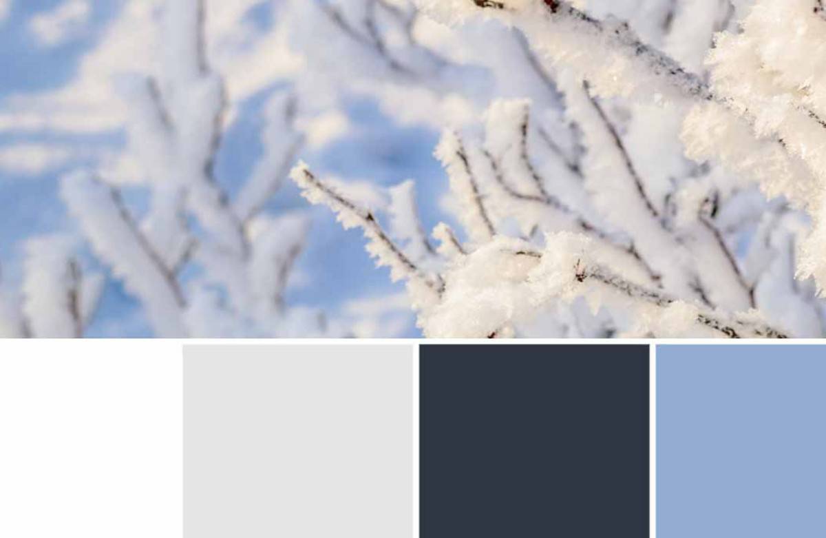 Test: quale colore preferisci? Ecco cosa rivela su di te Test: quale colore preferisci? Ecco cosa rivela su di te