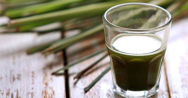 Chlorophyll: here's how to take it and the thousand benefits