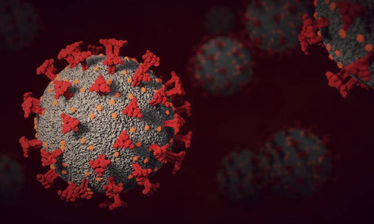 Virus: la nuova variante Omicron 2, ecco cosa sappiamo