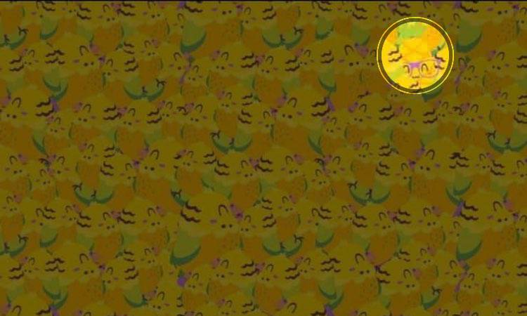 Test: trova l'intruso tra i pappagallini in 5 secondi, è impossibile
