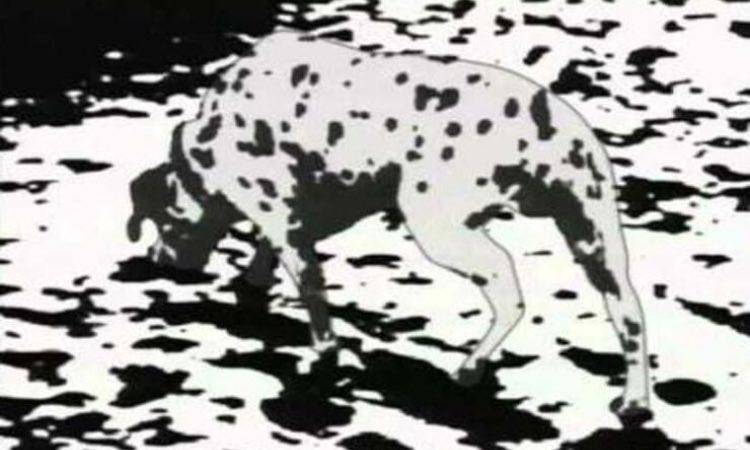 Test in bianco e nero: impossibile risolverlo