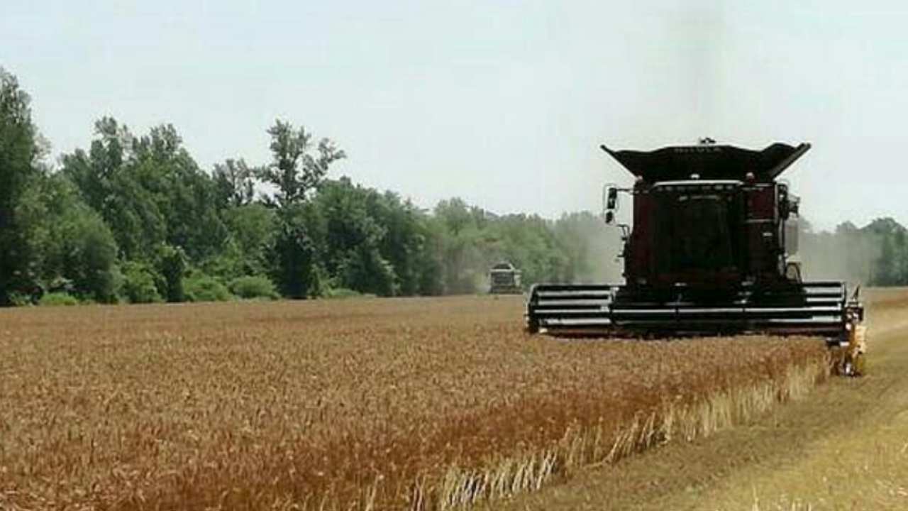 Agricoltura in Friuli Venezia Giulia