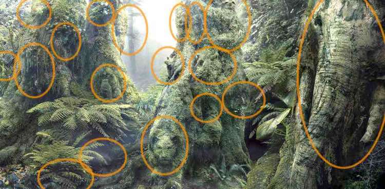Test quanti animali vedi? Sei davvero molto intelligente