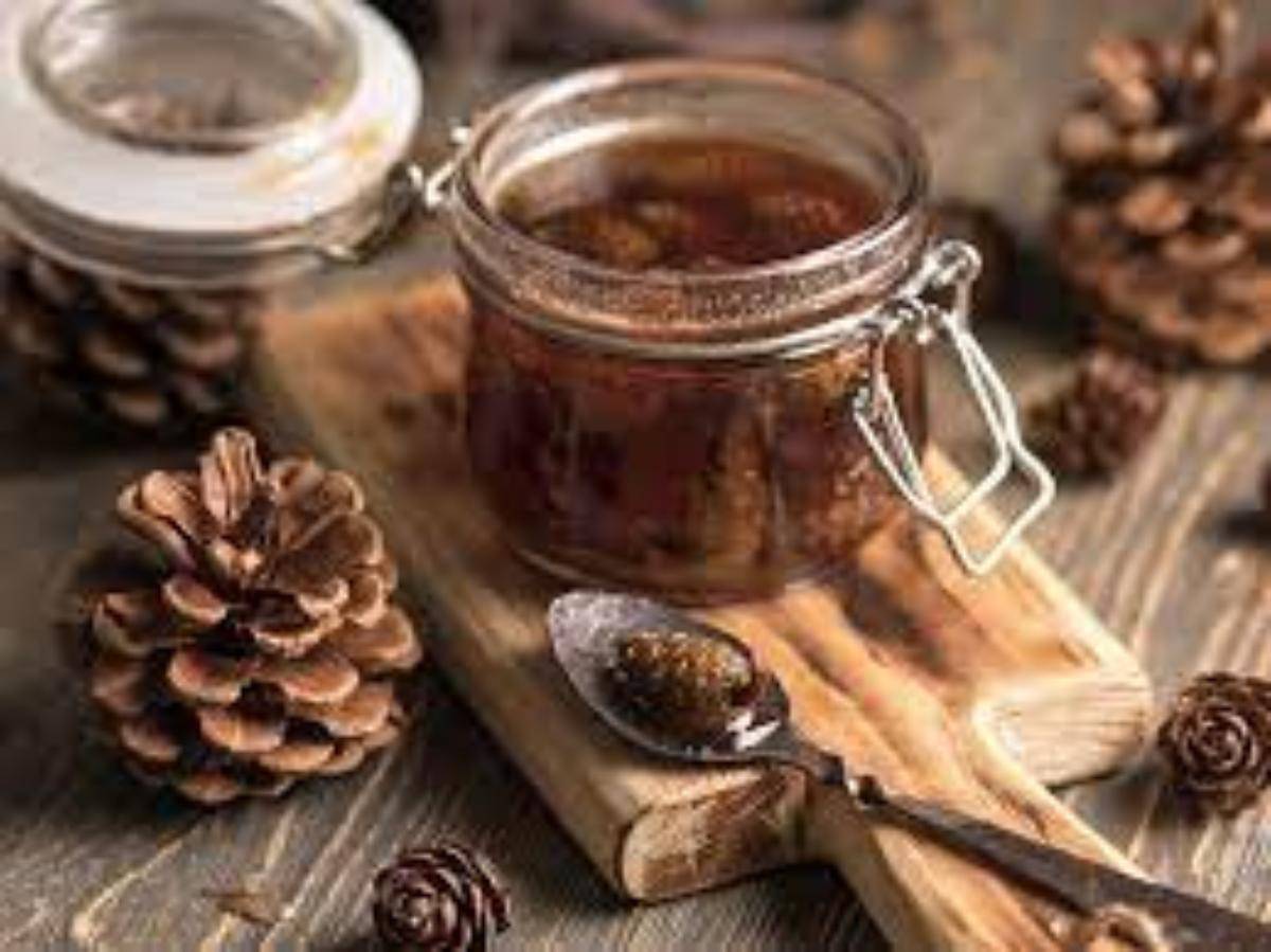 Marmellata di pigne: ottima per il sistema immunitario, mal di gola e bronchiti