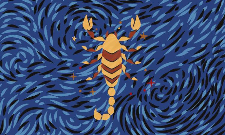 Segni Zodiacali: questo segno ruba il cuore per sempre